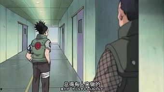 手鞠技能爆料怎么用视频,视频教学，轻松掌握传统技艺精髓  第2张